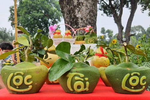Bưởi Tài Lộc, dừa hồ lô độc đáo tiền triệu thu hút khách chơi Tết