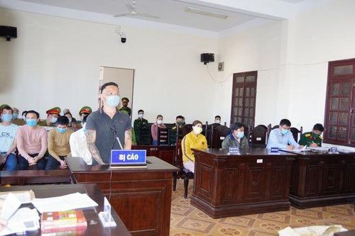 Nhóm bị cáo 'bức tử' rừng thông lĩnh tổng cộng 48 năm tù