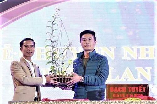 Độc đáo vườn lan tiền tỷ trên sân thượng