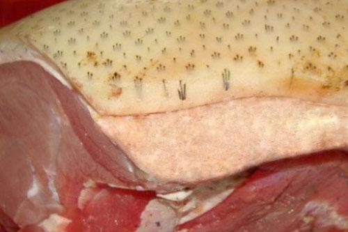 Những cách chọn thịt lợn rừng chuẩn không phải ai cũng biết