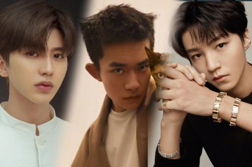 BXH idol Cbiz tháng 1: Thái Từ Khôn đứng đầu, Dịch Dương Thiên Tỉ giảm mạnh!