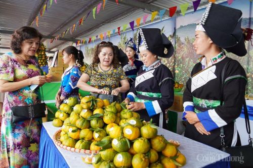 Nỗ lực nâng cao đời sống kinh tế - xã hội vùng đồng bào dân tộc thiểu số và miền núi