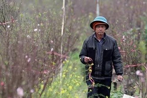 Hà Nội 28 Tết chuyển mưa rét, thấp nhất 13 độ C