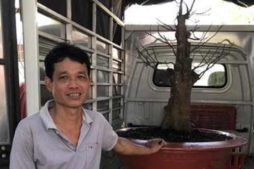 Nhóm đối tượng rủ nhau trộm cây kiểng có giá trị lớn