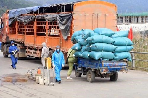 Thực hiện phòng, chống dịch Covid-19 trong vận chuyển hàng hóa