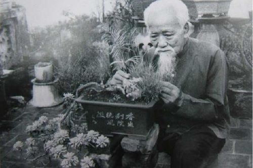 Thú chơi cây Tết của cha