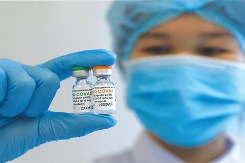 Nghiên cứu trong y học: Cá ngược dòng tìm vũ môn nơi đầu suối