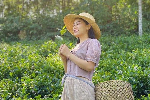 Khám phá đặc sản, văn hóa đa vùng miền trên kênh Sunny Vietnam