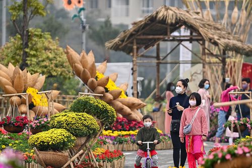 Đường hoa Home Hanoi Xuan 2021 khoe sắc rực rỡ