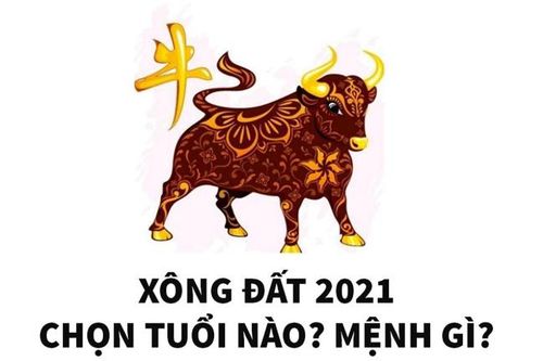 Tết Tân Sửu 2021: Gia chủ chọn tuổi nào xông đất để may mắn cả năm?