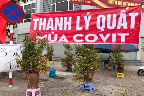 Hà Nội chiều 27 Tết: Đào, quất đại hạ giá tràn ngập đường phố