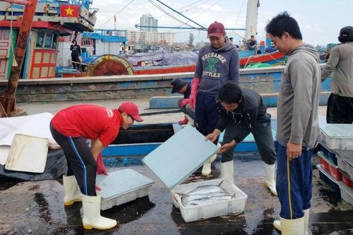 Giáp Tết, giá hải sản ở Đà Nẵng tăng nhẹ