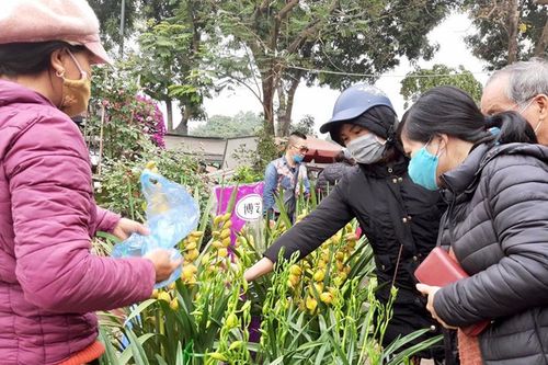 Tăng cường phòng, chống dịch Covid-19 tại các chợ hoa Xuân
