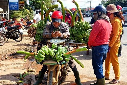 Nhộn nhịp chợ chuối vùng biên lớn nhất Miền Trung