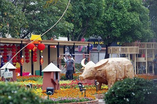 Giảm quy mô khai mạc, bố trí cổng khử khuẩn ở đường hoa Nguyễn Huệ