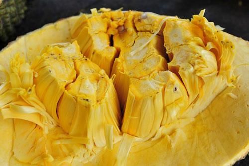Mẹo chọn mít nhiều múi, thơm ngon không hóa chất