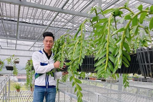 Thầy giáo Vũ Hoàng Giang và giá trị của vườn lan khủng