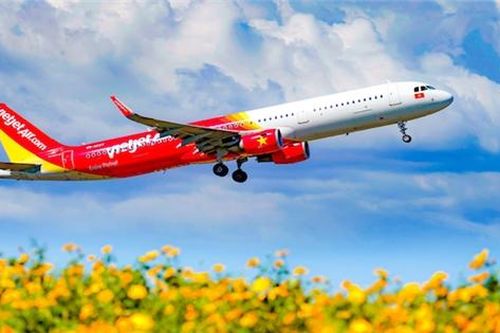 Hỗ trợ ngành hàng không: Không để sống qua ngày đoạn tháng
