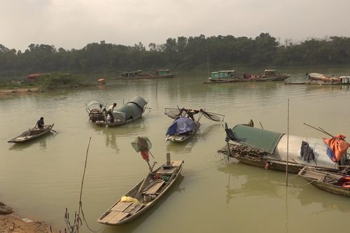 Xuân ở làng chài Thiệu Vũ