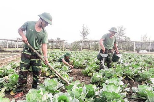 Đón Tết chu đáo, sẵn sàng chiến đấu cao