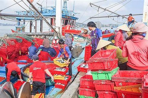 Niềm vui từ những chuyến biển áp Tết