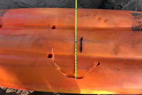 Cá mập 'điên' tấn công cặp bố con chèo kayak, cắn thủng thân thuyền