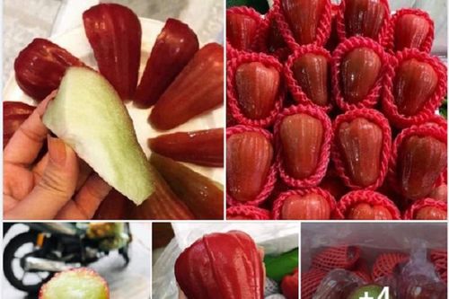 Chợ mạng nườm nượp rao xả hàng... loạn giá hàng 'bán nốt nghỉ Tết'