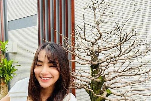Hải Băng ngậm ngùi than bị trộm cây mai vàng gần 100 triệu đồng