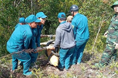 Quảng Nam: Phát hiện quả bom nặng 230kg còn nguyên kíp nổ