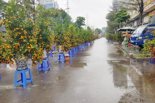 Ảm đạm chợ hoa ngày 28 Tết