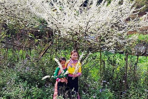 Xuân nơi 'thung lũng mắt trời' Thèn Pả