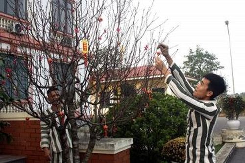 Chăm lo Tết cho những người lầm lỡ