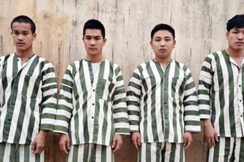 Khởi tố, bắt tạm giam 4 đối tượng khai thác gỗ trái phép