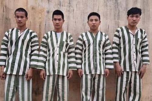 Bắt 4 đối tượng tham gia cưa hạ hàng chục cây cổ thụ trăm tuổi