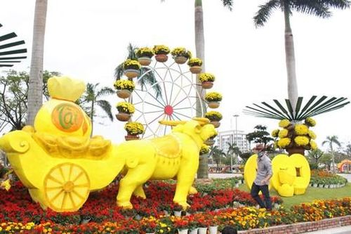 Thành phố Tam Kỳ rực rỡ sắc hoa đón Tết