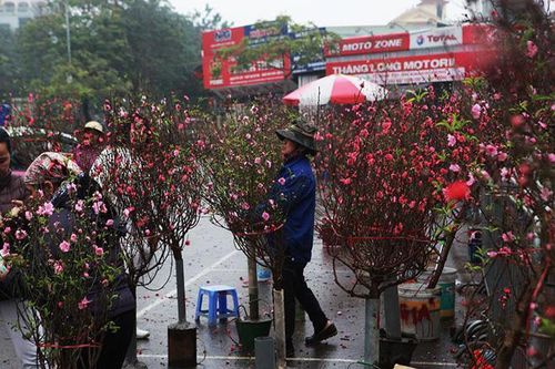 Thời tiết ngày 28 Tết: Miền Bắc rét đậm kèm mưa dông, nhiệt độ thấp nhất 8 độ C