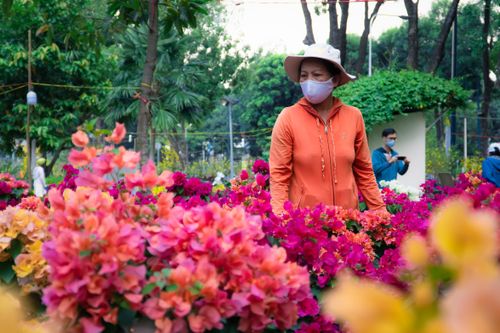 Tiểu thương bán hoa Tết tại TP.HCM: 'Không bán hết đành bỏ đi'