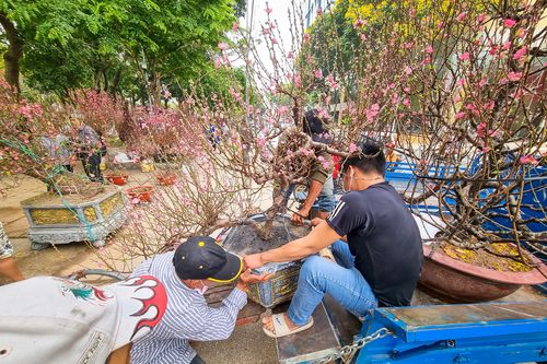 TP.HCM ngày cuối năm