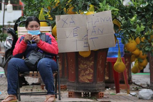 Vắng khách, người buôn hoa Tết treo biển xả hàng