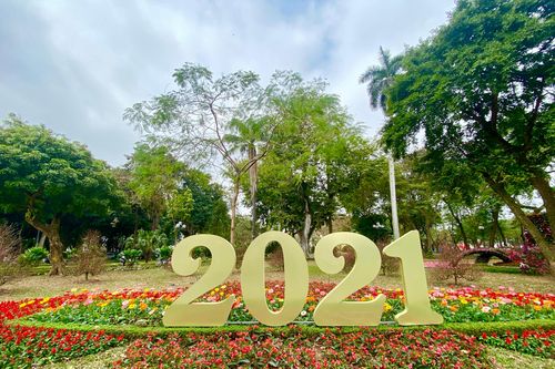 Hà Nội rực rỡ đón Tết