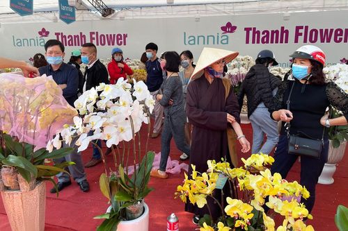 Hà Nội: Nhộn nhịp chợ hoa, cây cảnh chiều 29 Tết
