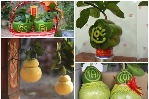 Muôn kiểu bưởi tạo hình độc đáo hút khách dịp Tết