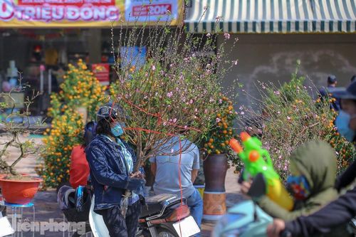 Nắng lên, tiểu thương 'ôm' đào quất ngóng người mua