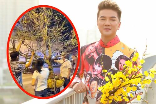 Đàm Vĩnh Hưng được fan chơi lớn tặng cây mai cao 5 mét, trị giá hàng trăm triệu đồng