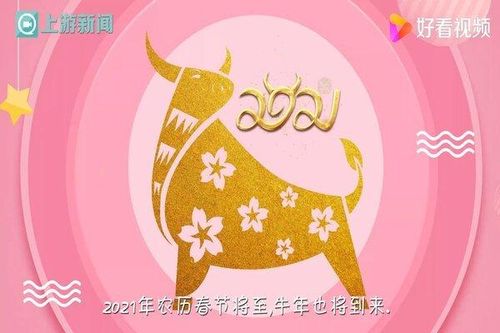 Lý do loài trâu được người Trung Quốc chọn làm con giáp