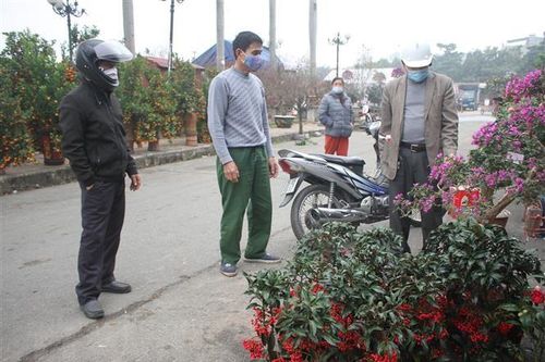 Ninh Bình, Thái Bình dừng pháo hoa, Hải Dương kiểm soát nơi đông người