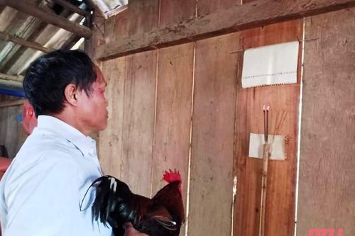 Độc đáo 'Tết con gà' của đồng bào Mông
