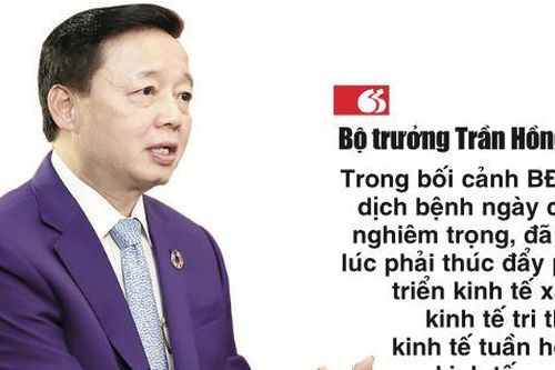 Chuyển đổi mô hình phát triển trong kỷ nguyên của năng lượng xanh