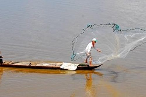 Nhớ mùa cá ra sông