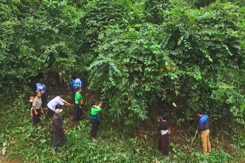 Những bản làng phía Tây ở Thanh Hóa rũ bỏ 'bão trắng', lá ngón để hồi sinh